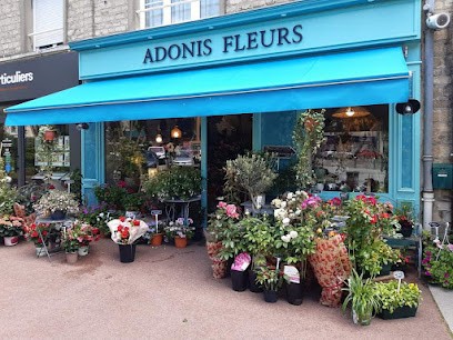 Adonis, Fleuriste à Valognes