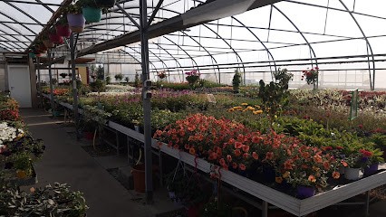 Horticulture Ettwillter, Fleuriste à Sainte-Croix-en-Plaine