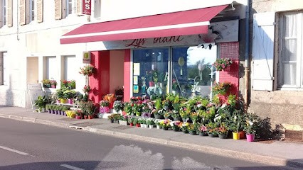 Au Lys Blanc, Fleuriste à Blismes