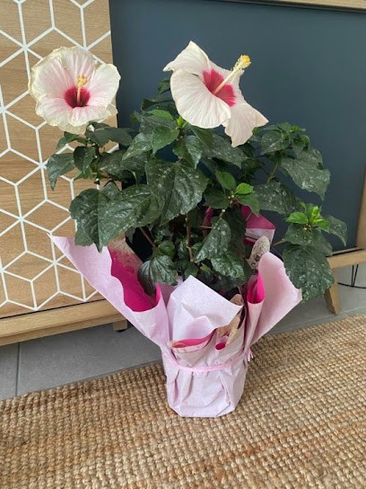 Coraly Fleur, Fleuriste à Castanet-Tolosan