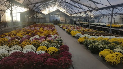 Horticulture Christophe Blum, Fleuriste à Rémering-lès-Puttelange