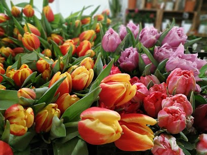 Les Fleurs D'Etoile, Fleuriste à Étoile-sur-Rhône