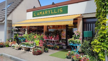 L'Amaryllis, Fleuriste à Remiremont