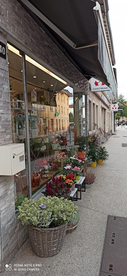 A FLEUR DE POT, Fleuriste à Brignais