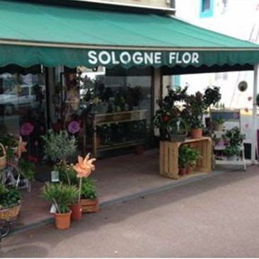 Sologne Flor, Fleuriste à Lamotte-Beuvron