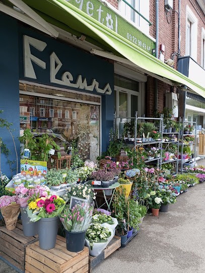 Végétal, Fleuriste à Poix-de-Picardie