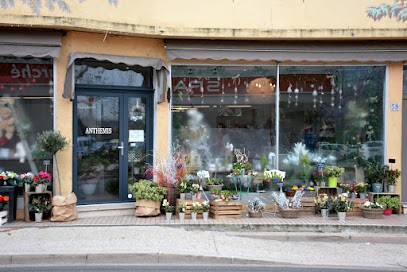 Le Shop Fleuri, Fleuriste à Sarras