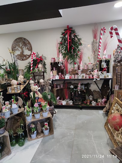 L'Atelier à Fleurs de Pot, Fleuriste à Saint-Renan