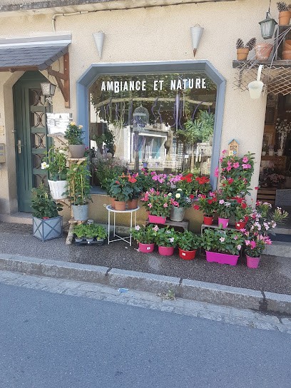 Ambiance Et Nature, Fleuriste à Cluis