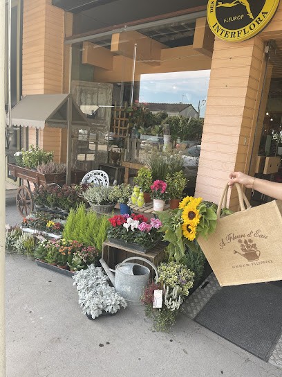 A fleurs d'eau, Fleuriste à Villepreux