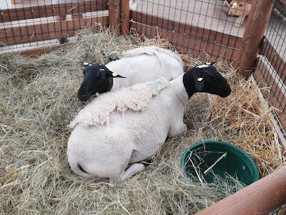 Commune de Sedan, Fleuriste à Sedan