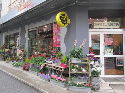 Pétales et Compagnie, Fleuriste à Privas