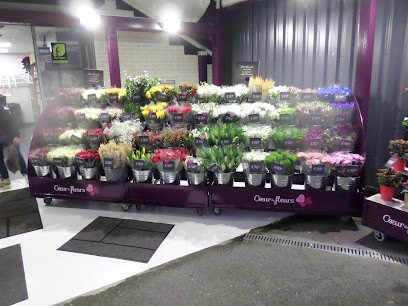 Cœur De Fleurs Pessac, Fleuriste à Pessac