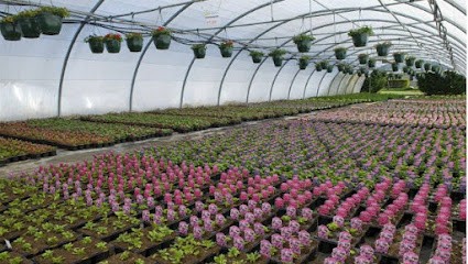 Serres de production DENORMANDIE, Fleuriste à Fougerolles