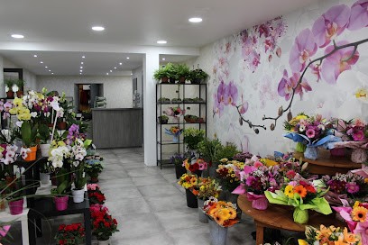 Maison Borel - Fleurs Décor, Fleuriste à Ornans