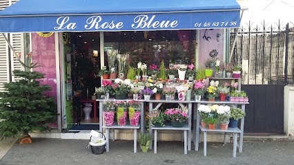 The Blue Rose, Fleuriste à Nogent-sur-Marne