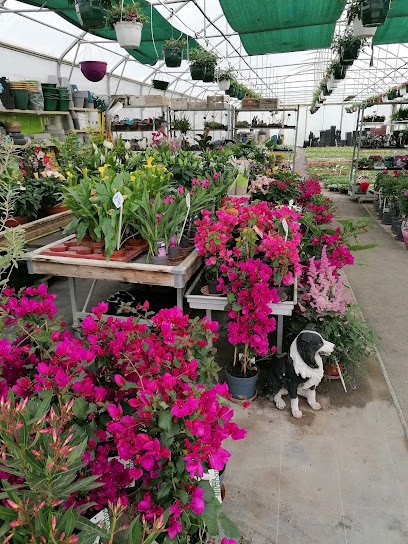 la ferme horticole, Fleuriste à Vraincourt
