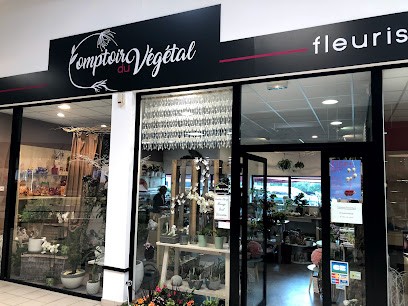 Comptoir Du Végétal, Fleuriste à Rostrenen