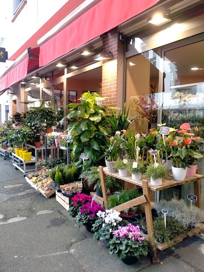 Mai En Septembre, Fleuriste à Chaville