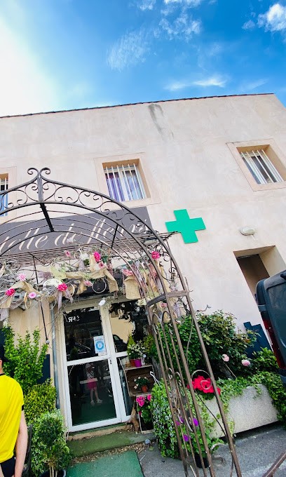 Dentelle De Fleurs, Fleuriste à Apt
