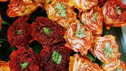 Une Fleur Un Style, Fleuriste à Fontenay-sous-Bois