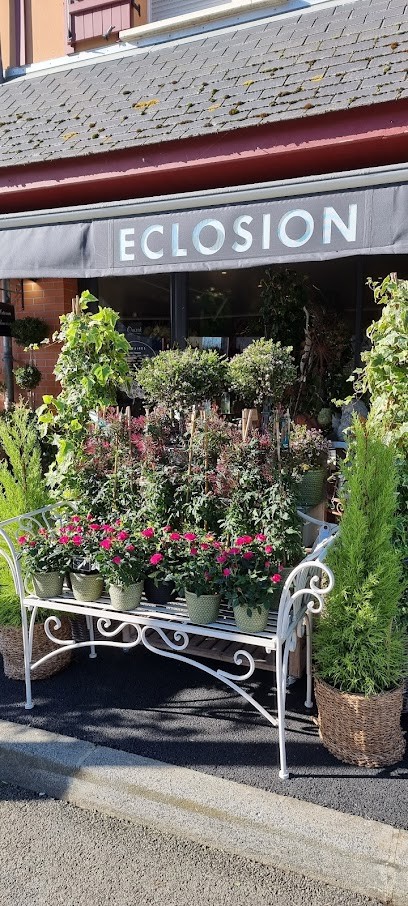 Eclosion Fleuriste, Fleuriste à Saint-Arnoult