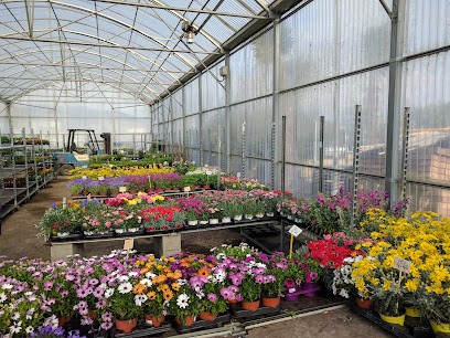 Sabrina Fleurs, Fleuriste à Beausemblant