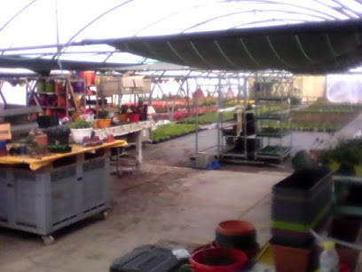 Jardin de la Dive, Fleuriste à Brie