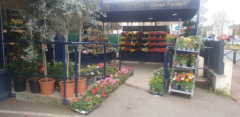 Monceau Fleurs, Fleuriste à Marnes-la-Coquette
