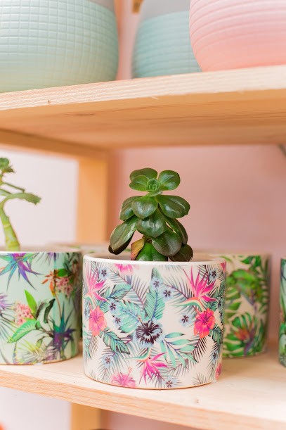 L'Élégance Florale, Fleuriste à Bouillé-Ménard