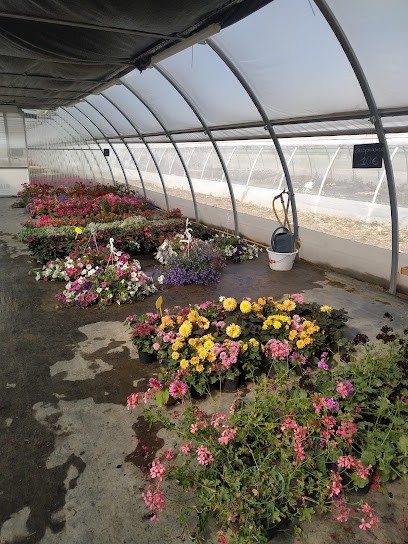 Les serres de Chloralou, Fleuriste à Oraison