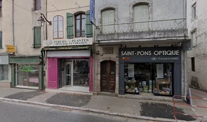 Fleurs De Nice, Fleuriste à Saint-Pons-de-Thomières