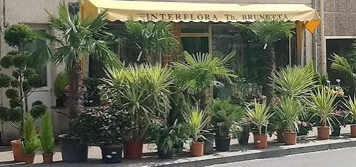 Les Floralies, Maison Brunetta, Fleuriste à Nouzonville