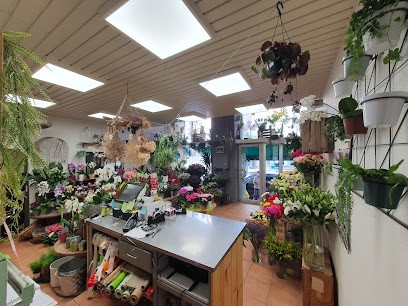 Floréal Fleur, Fleuriste à Mauriac