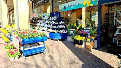 Monceau Fleurs, Fleuriste à Rueil-Malmaison