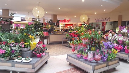 CréaFleurs, Fleuriste à Provins
