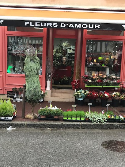 Fleurs D'Amour, Fleuriste à Houdan