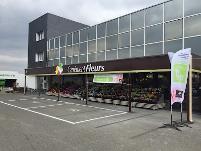 Carrément Fleurs - Fleuriste Vernouillet Dreux 28 - Livraison de fleurs à, Fleuriste à Vernouillet