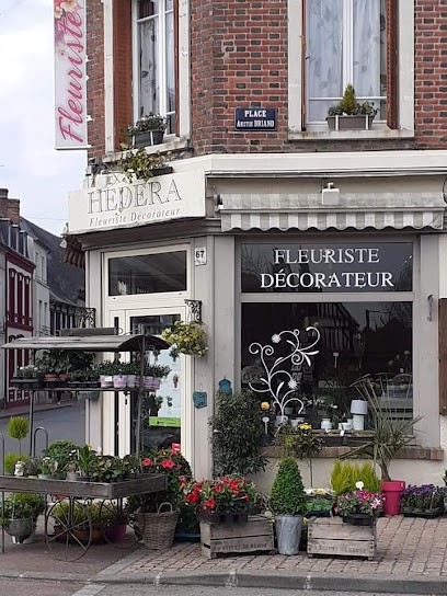 hedera, Fleuriste à Conches-en-Ouche
