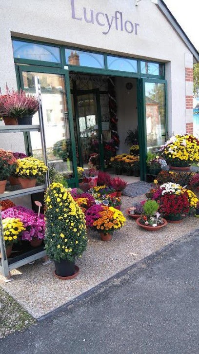Lucy Flor, Fleuriste à Mur-de-Sologne
