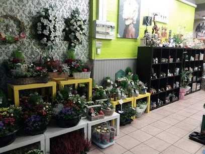 Cel'ines Fleurs, Fleuriste à Saint-Pol-sur-Ternoise