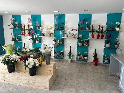 Aux Feuilles Vertes, Artisan Fleuriste, Fleuriste à Lédignan
