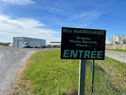 Etablissement Marchand, Fleuriste à Saint-Maurice-la-Clouère